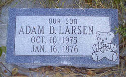 Adam D Larsen 