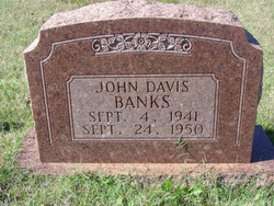 John Davis Banks 