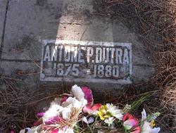 Antone P Dutra 
