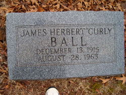 James Herbert  Curly Ball 