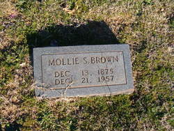 Mary Susan “Mollie” <I>Henry</I> Brown 