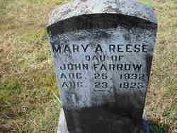 Mary Ann <I>Farrow</I> Reese 