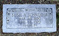 Susie Ann <I>Abbott</I> Schneider 