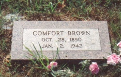 Comfort Americus <I>Watson</I> Brown 