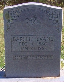 Barshe <I>Robertson</I> Evans 