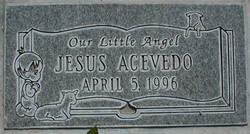 Jesus Acevedo 