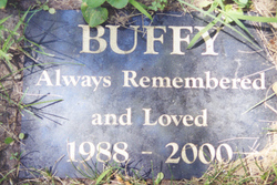 Buffy - Beloved Pet 