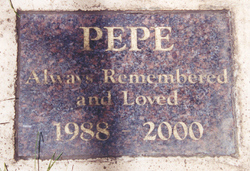 Pepe - Beloved Pet 
