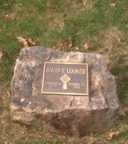 David F Looker 