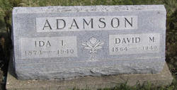 David M Adamson 