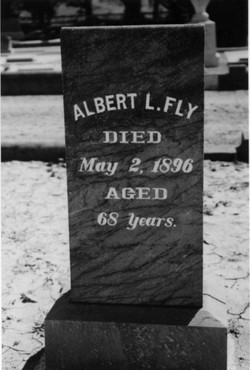 Albert Latimer Fly 