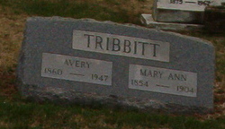 Avery Tribbitt 