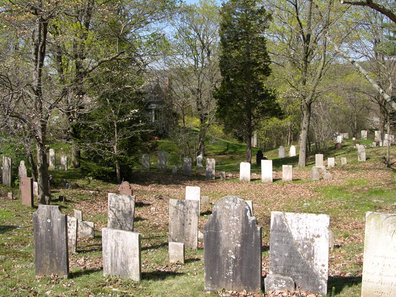 Thirty Mile Island Plantation Burial Yard