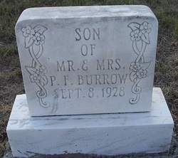 Son Of P. F. Burrow 