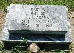 Mary Amanda <I>Minshew</I> Adams 