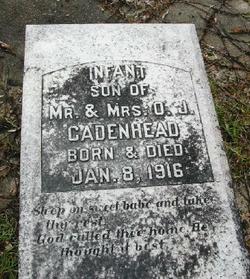 Infant Cadenhead 