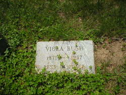 Viola <I>Parker</I> Bush 