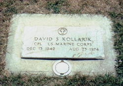 David S Kollarik 
