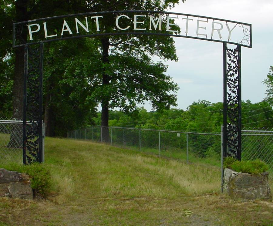 Plant Cemetery