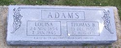 Louisa Jane / Lane <I>Martin</I> Adams 
