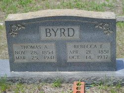 Thomas A Byrd 