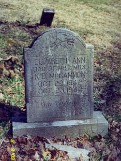 Elizabeth Ann McCammon 