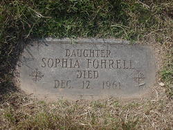 Sophia Fohrell 
