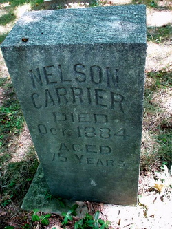 Nelson Carrier 