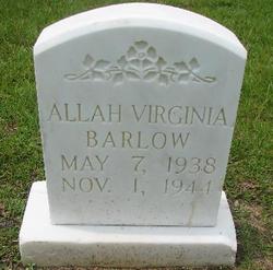 Allah Virginia Barlow 