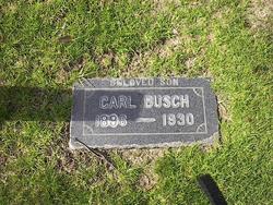 Carl Busch 