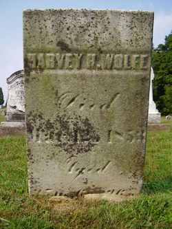 Harvey H Wolfe 