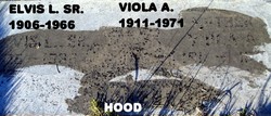 Viola Almedia <I>Warhurst</I> Hood 