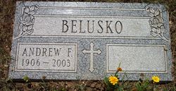 Andrew F. Belusko 