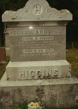 Virgil N Higgins 