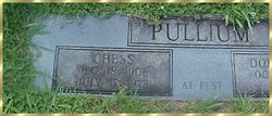 Chess Pullium 