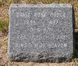 David Rose Dodge 