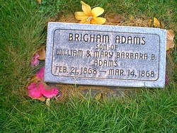 Brigham Adams 