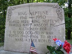 King Neptune 