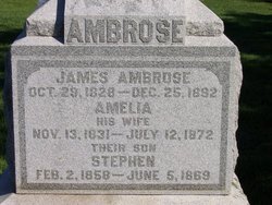 Amelia <I>Hedges</I> Ambrose 