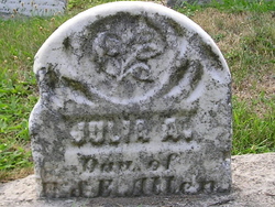 Julia A. Allen 