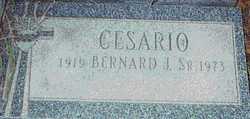 Bernard John Cesario Sr.