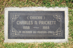 Charles Newth Prickett 