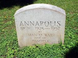 Annapolis 