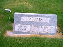 Alice <I>Evans</I> Adams 