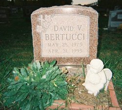 David V Bertucci 