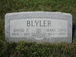 David F. Blyler 