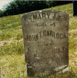 Mary Jane <I>Newcome</I> Carlock 