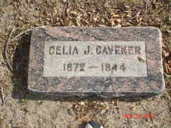 Celia Jane <I>Wilson</I> Cavener 