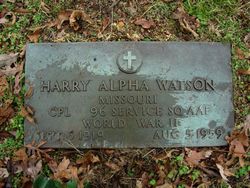 Harry Alpha Watson 