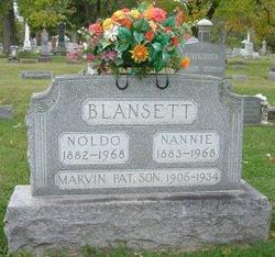 Nancy “Nannie” <I>Hinshaw</I> Blansett 